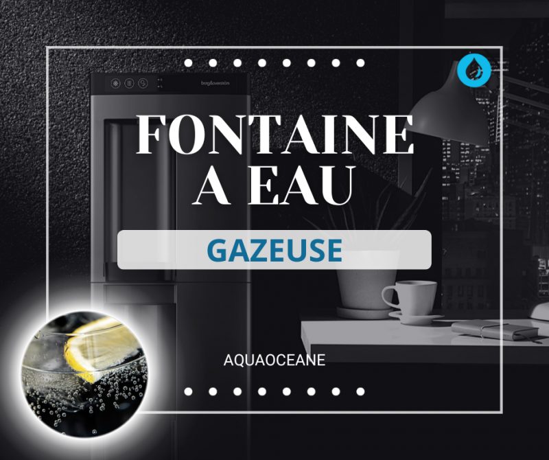 Fontaine à eau gazeuse
