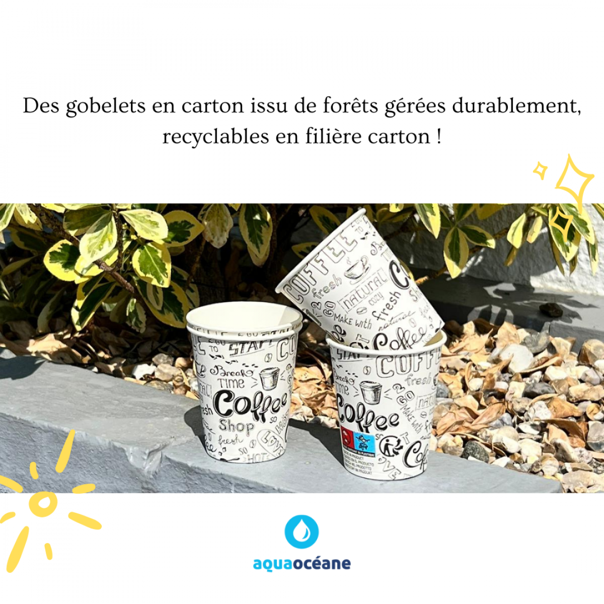 [Gobelets en carton]